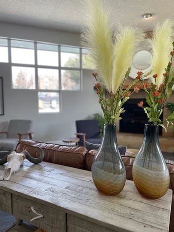 Two vases with plants in them sit on a table.